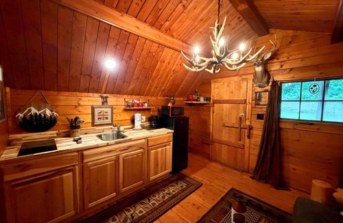 Cosby House | The Dapper Duck Log Cabin