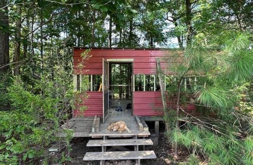 Leesville Other | The Happy Place In The Trees