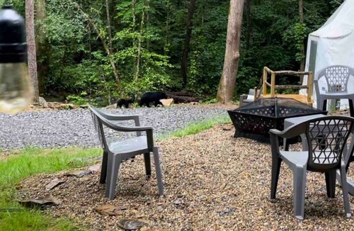 Cosby Apartment | The Perch: Glamping by Rafting