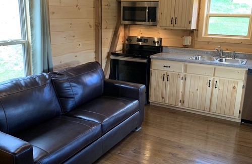 Black Mountain Cabin | Turkey Trot- New Cabin in Black Mountain w/views & discount Biltmore tickets!