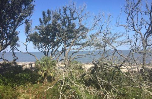 Jekyll Island House | Villa 504 - Ocean Driftwood