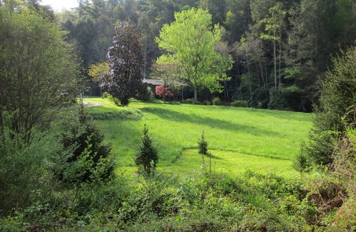 Marshall Cottage | Wilderness retreat near Asheville, Myra's Cottage offers comfort & adventure