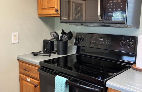 Lake Toxaway Condo | WINTER DISCOUNT RELAXED CANCELLATION! WATERFALL VIEW DOGS WELCOME SKIING CLOSEBY