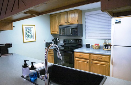 Lake Toxaway Condo | WINTER DISCOUNT RELAXED CANCELLATION! WATERFALL VIEW DOGS WELCOME SKIING CLOSEBY