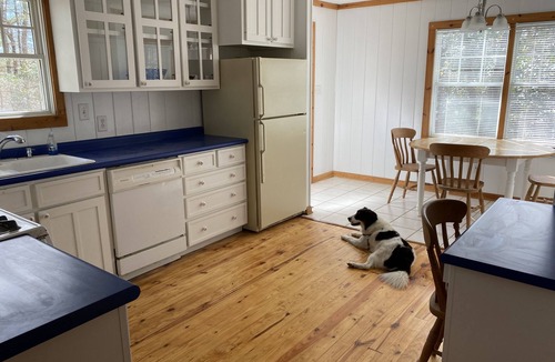 Wolf Ridge House | Wolf Ridge Retreat. Comfortable, peaceful retreat in the Blue Ridge Mountains