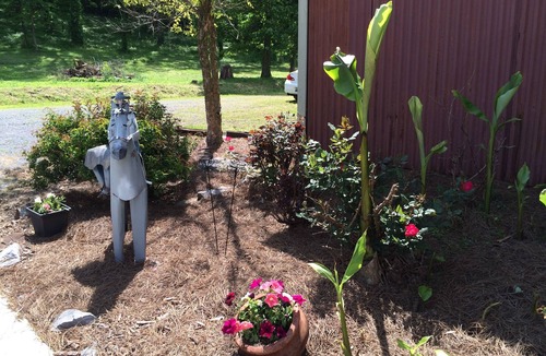 Guntersville Cottage | Wonderful cozy cabin across from Lake Guntersville