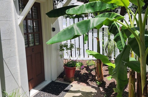 Harleston Village Apartment | Wonderful one bed one bath apartment location south of Calhoun Street