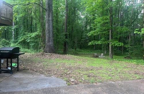 Acworth House | Woodland cottage near LakePoint Sports Complex & Butterfly Pavilion
