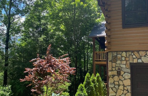 Waynesville Cabin | Your Smoky Mountain Cabin suite…In the heart of the Smokies. Dog friendly!