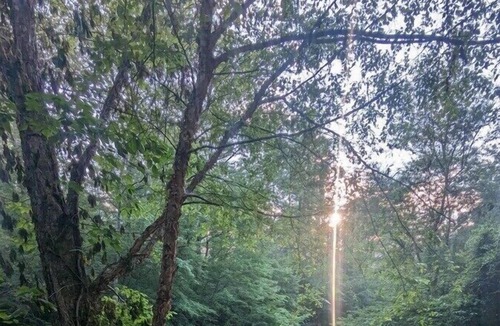 Felton House | Your Tallapoosa River Hideaway! Book your family Camping trip!