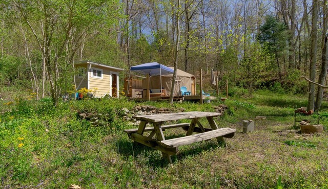 16’ Yurt in the Forest, Queen bed, kitchenette, hiking & 15 min to AVL.