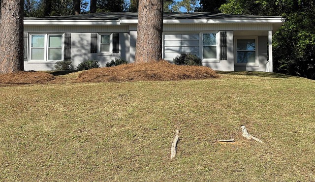 3-bedroom house in delightful Macon with WiFi, AC