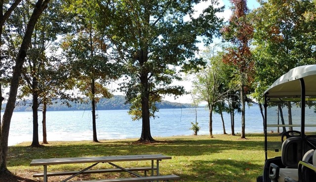 Adorable Tiny House Cabin- Lake Guntersville