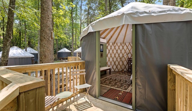 Best Glamping in Tennessee in this Cute Pet-Friendly Yurt for 2 in Cosby