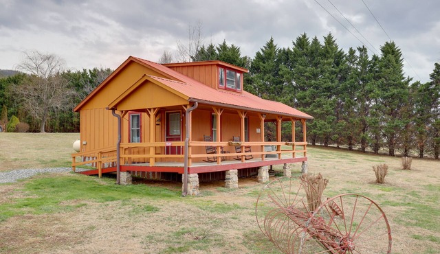 Blue Ridge Hideaway! Cabin w/River Access & Views