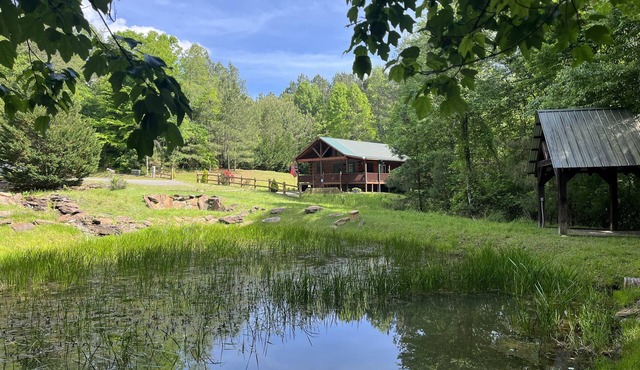 Cabin Blue Ridge-Murphy area, fast wifi, dog & family friendly, trail & hot tub!