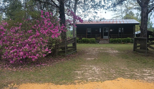 Cabin in the Woods