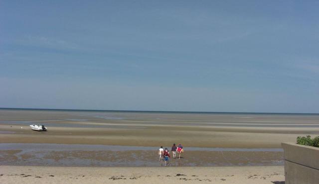 Cape Cod Great Pond Nature Lover's House Rental in Eastham in eastham