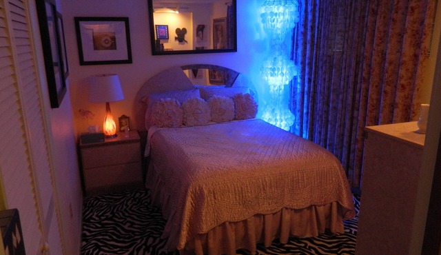 Cara Mia Blue Rose