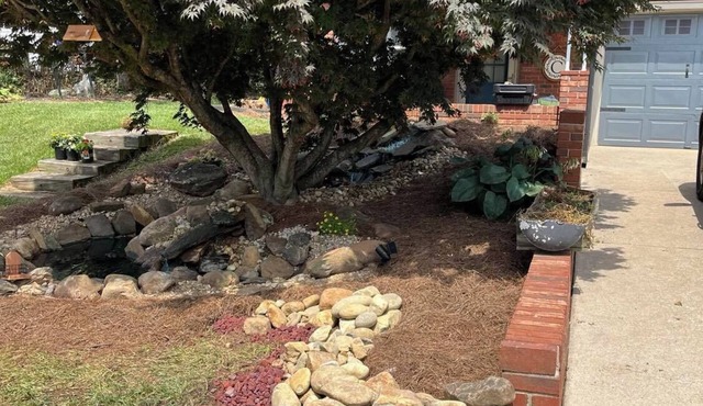 Charming, cozy cottage in amazing Canton with WiFi, AC