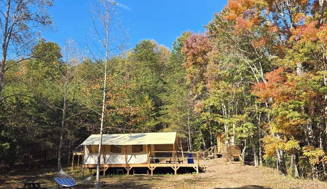 Charming meadow camp in the forest mountains near fish pond. Events are OK. Pet