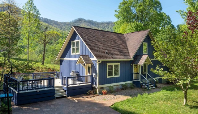 Charming Mtn Lodge, Fire Pit, Mtn View, WiFi, Grill, Treehouse, Close to town!