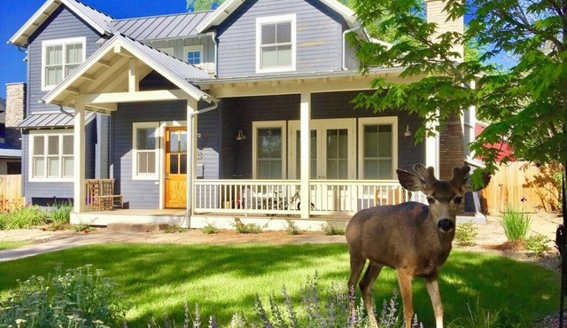 Charming Private Guest Suite located near downtown, shopping and hiking in Boulder