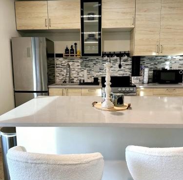 Contemporary Downtown Condo