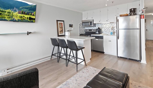 Cozy 1-BR condo w/AC, ski-in/ski-out, in Snowshoe, right by Ballhooter Lift in Snowshoe