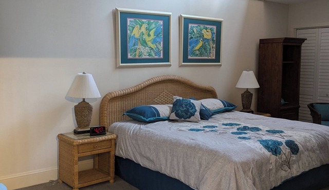 Cozy 2-bedroom condo with sunroom on a beautiful golf course St. Simons Island.