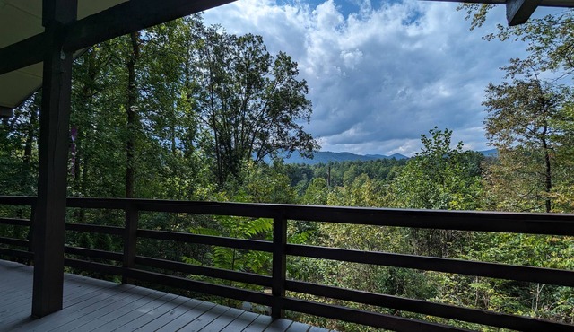 Cozy Cottage, minutes to Hot Springs. Pet Friendly!