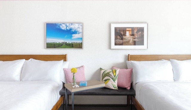 Double Queen Sanctuary, Elwood Hotel & Suites, Horse Country Nearby in Lexington