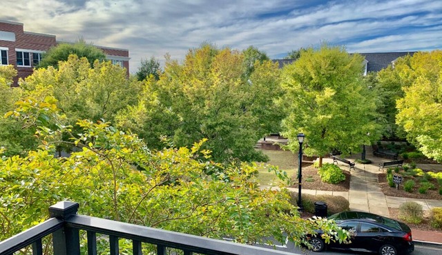 Elegant furnished 2 bedroom apartment in Fort Mill