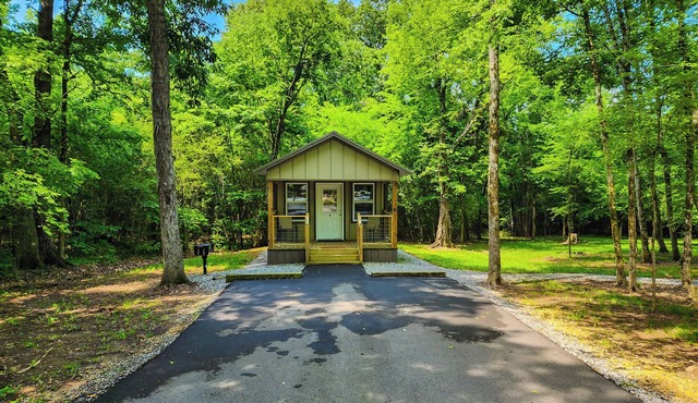 Family Get Away Tiny House Cabin with Bunk Room+Pet Friendly! Lake Guntersville
