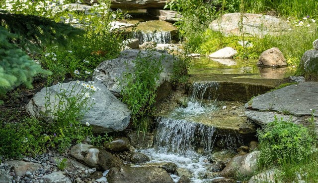 Flying Saddle Resort in Alpine