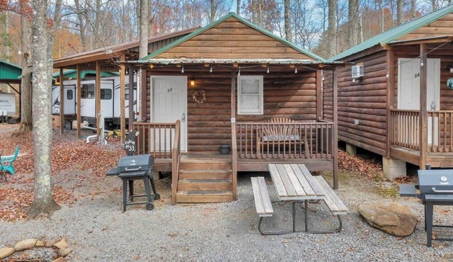 Gatlinburg Cabin Near Ripley's Aquarium