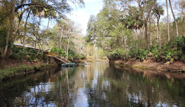 "High On The River" a quaint cabin resting along the upper Steinhatchee River.