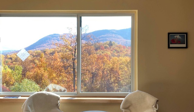 Hilltop Pet Friendly Studio in Castleton, Vermont