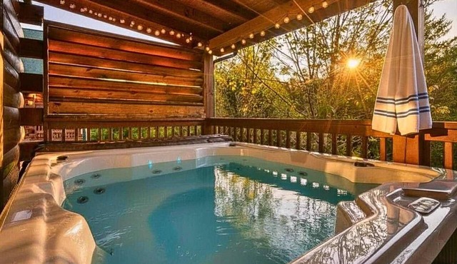 Hot Tub Pool Pet Friendly Game Room