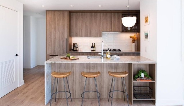 Level Spacious one bedroom suite with king bed, walk-in closet, full kitchen. in Chicago