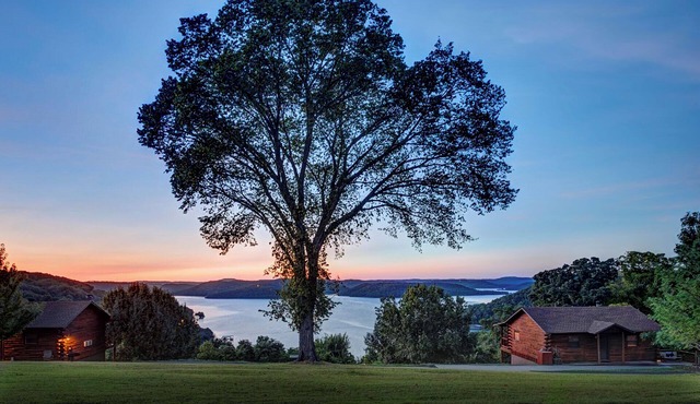 Log Cabin on Beaver Lake with Boat Dock/Swim Deck/slips in Eureka Springs