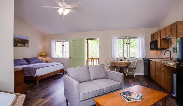 Love Ridge Mountain Lodging in Lyndhurst