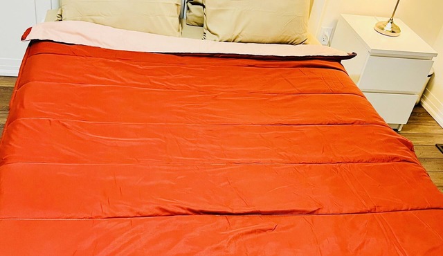 Luxury comfy & cozy in Brampton