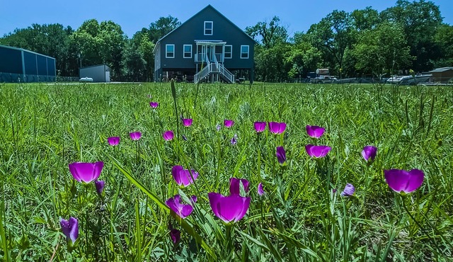 Luxury Waterfront Estate Sleeps 19 - Weddings, Events, Cinema, Dock at Tin Top in Weatherford
