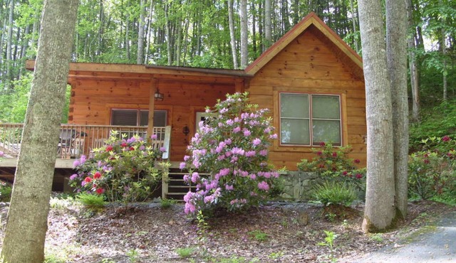 Moose Crossing Log Cabins, Waynesville N C 1/2 mile to Blue Ridge Pkwy.