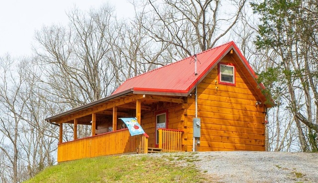 NEW! Custom Cabin on 10 acres!