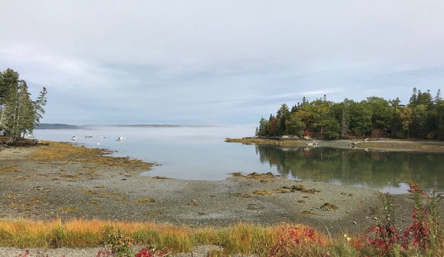 Oceanfront Cottage at Acadia National Park, Bar Harbor/Laughing Gull Cottage in Bar Harbor