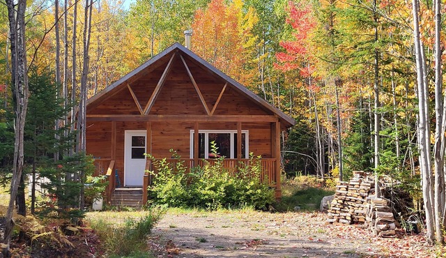 Off grid cottage in the woods. Peaceful,in nature, pet friendly. no electricity in Middle River