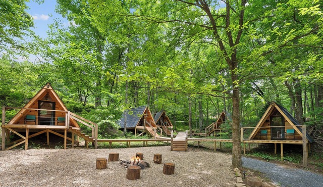 Off-Grid Mini A-Frame in Hartford, TN- Cabin U