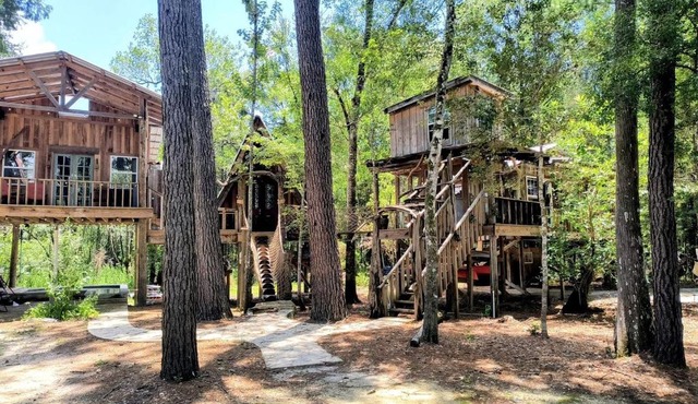 Off-Grid Nature Retreat Near Satilla River, Georgia